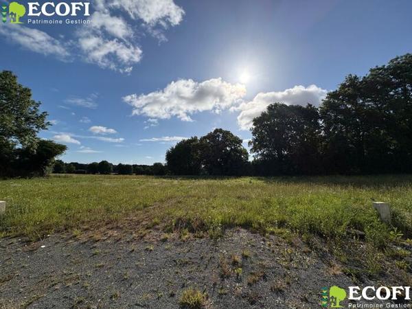 Parcelles à bâtir