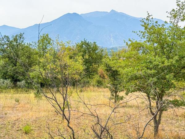 Terrain 1950m2 vue Canigou constructible viabilisé