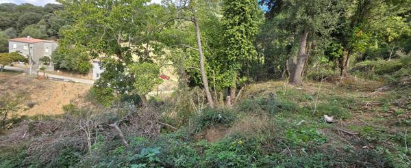 A SAISIR TERRAIN CONSTRUCTIBLE - OLMICCIA