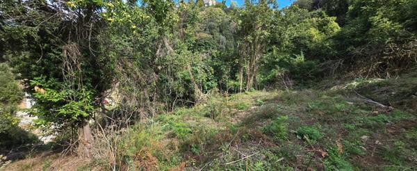 A SAISIR TERRAIN CONSTRUCTIBLE - OLMICCIA