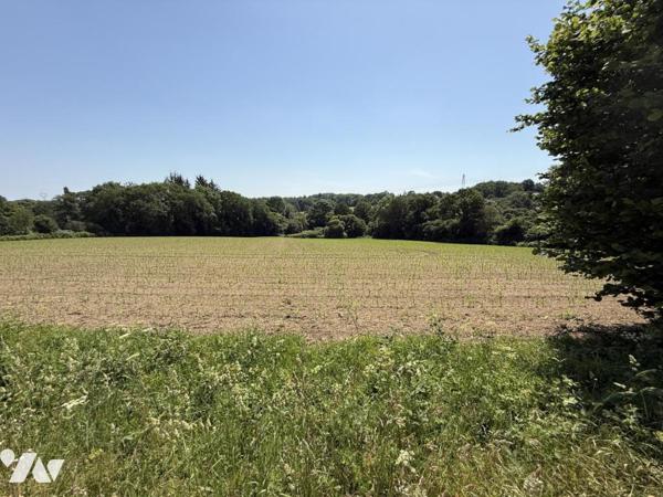 Superbe bâtisse en pierre 
