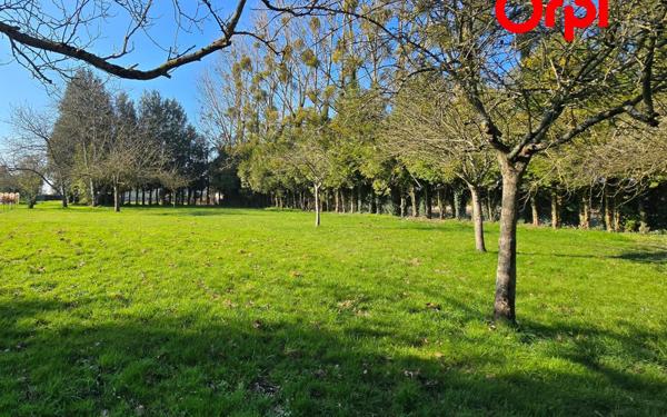 Terrain à vendre    Bernay