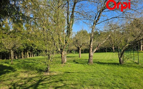 Terrain à vendre    Bernay