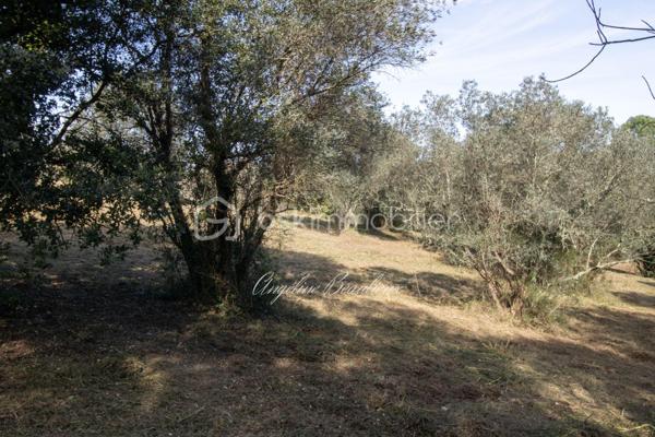Terrain de 2 094 m²