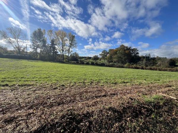 Terrain à vendre 19 000 € Saint-Maurice-la-Souterraine 3392 m² DPE