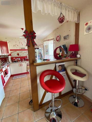 Maison à vendre à Villedieu-sur-Indre dans l'Indre (36320), ref : 1050121