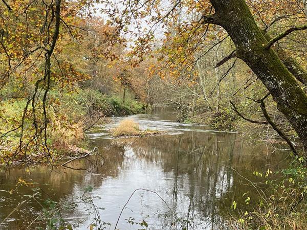 Territoire de chasse avec étang en Sologne