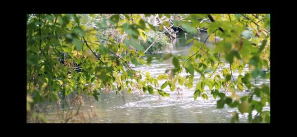 Territoire de chasse avec étang en Sologne