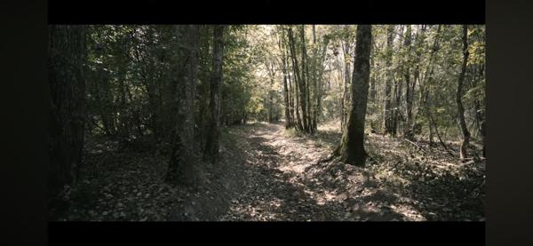 Territoire de chasse avec étang en Sologne