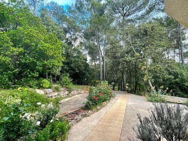 Vente Maison de luxe Montpellier 9 Pièces 289 m²