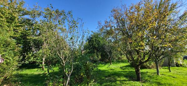 Jolie fermette à rénover sur plus de 4000 m2