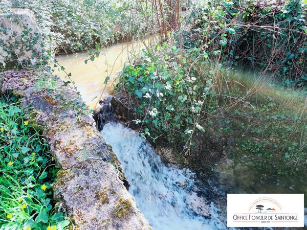 Authentique Moulin à eau à 30 mn de l'entrée Bordeaux