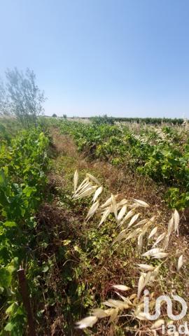 Terrain à vendre 2 960 m² Générac