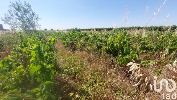 Terrain à vendre 2 960 m² Générac