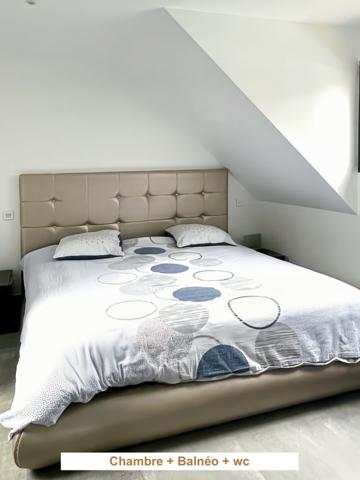 Magnifique propriété contemporaine de 11 pièces!!!