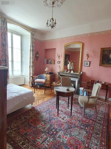 Grande propriété à vendre à La-Ferté-Bernard dans la Sarthe (72400), ref : 336