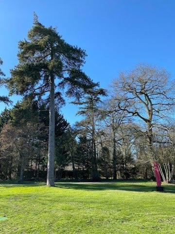 Vente Propriété de luxe Angers 92 Pièces 2160 m²
