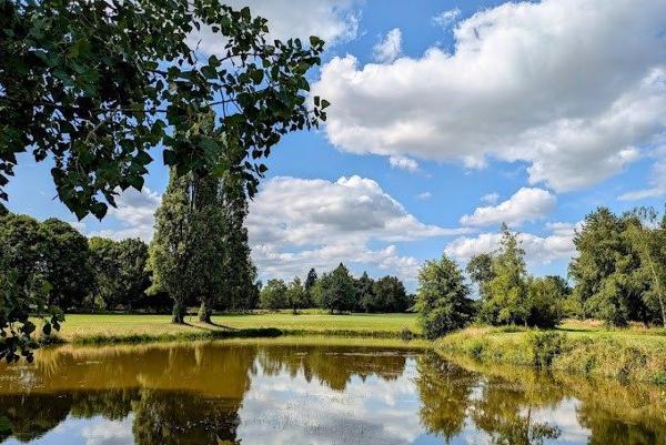 Vente Propriété de luxe Angers 92 Pièces 2160 m²