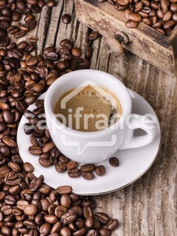 Superbe affaire de Coffe Shop/petite restauration à vendre Vieux Port LA ROCHELLE (17), emplacement N°1