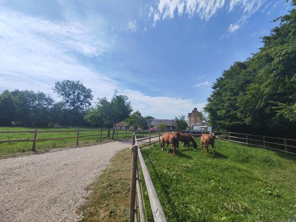 Propriété de 2.17 ha avec maison de 115 m² et dépendances