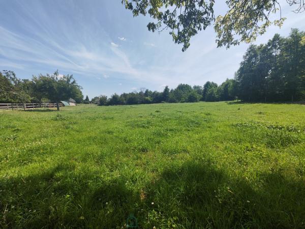 Propriété de 2.17 ha avec maison de 115 m² et dépendances