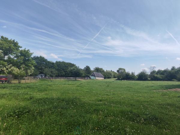Propriété de 2.17 ha avec maison de 115 m² et dépendances