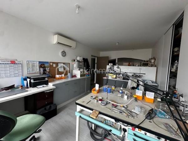 Immeuble mixte de 224,99 m²