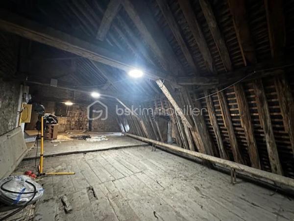 Immeuble mixte de 224,99 m²