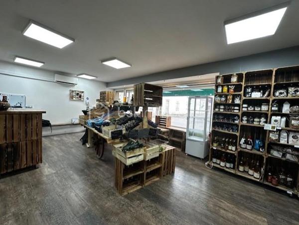 Immeuble mixte de 224,99 m²
