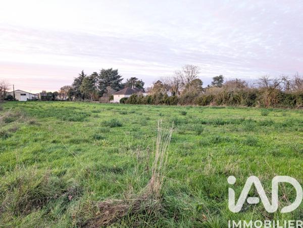 Terrain à vendre 5 375 m² Lussac-les-Châteaux