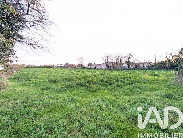Terrain à vendre 5 375 m² Lussac-les-Châteaux