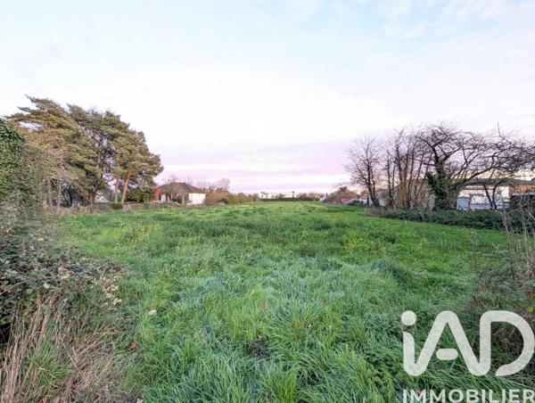 Terrain à vendre 5 375 m² Lussac-les-Châteaux