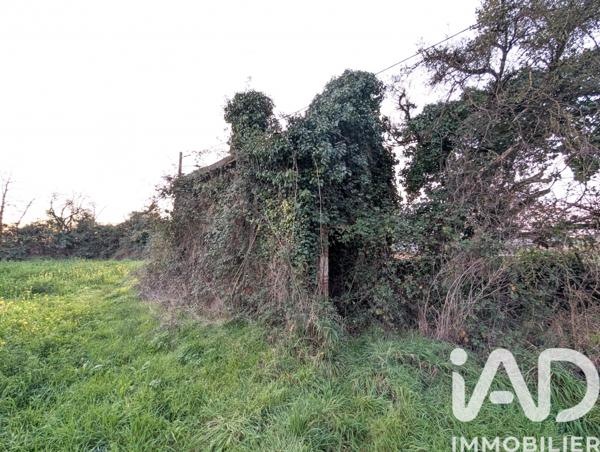 Terrain à vendre 5 375 m² Lussac-les-Châteaux