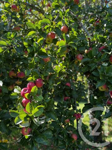 Maison à vendre  9 pièces - 204,12 m2 PERTHES - 77