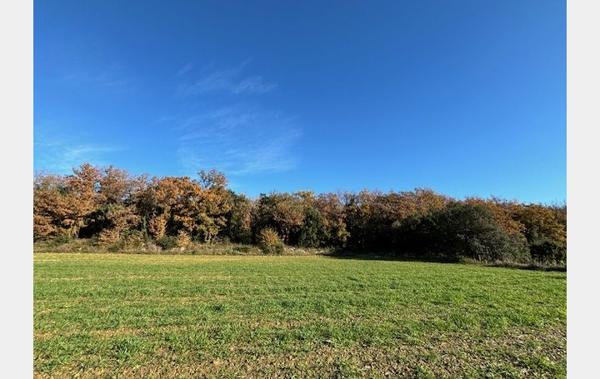 Vente Terrain AVEC MASURE A RENOVER Uzes   
