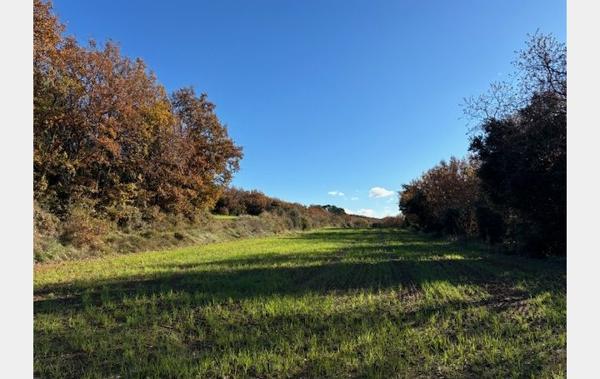 Vente Terrain AVEC MASURE A RENOVER Uzes   