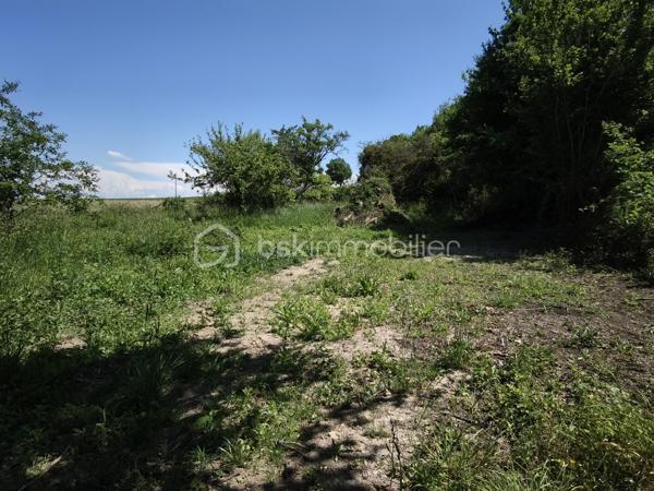 Immeuble mixte de 94 m²