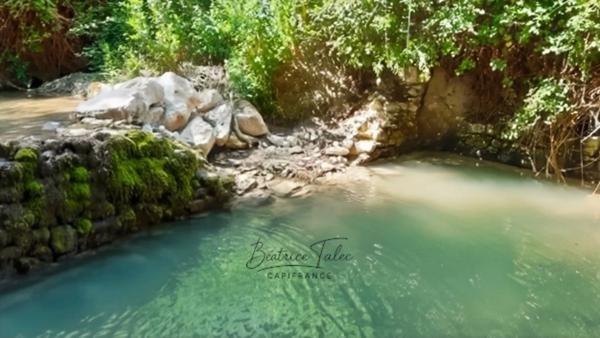 Forcalquier – Ancien moulin rénové 390 m² – 4 gîtes – parc 1,3 ha avec source naturelle, Provence, Haute-Provence