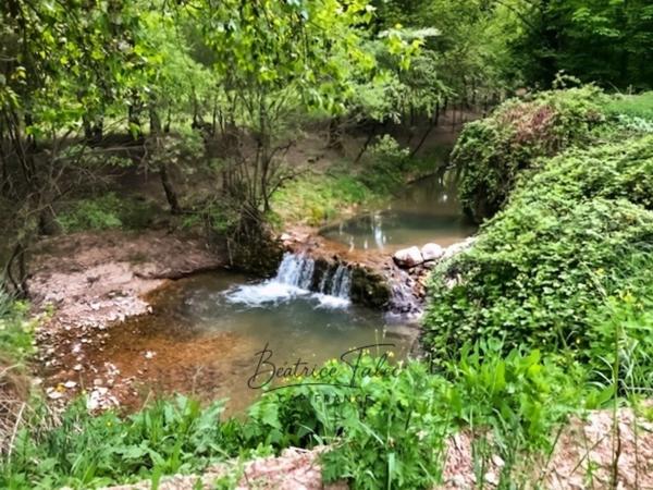 Forcalquier – Ancien moulin rénové 390 m² – 4 gîtes – parc 1,3 ha avec source naturelle, Provence, Haute-Provence