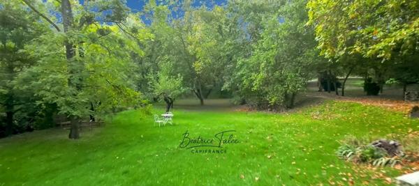Forcalquier – Ancien moulin rénové 390 m² – 4 gîtes – parc 1,3 ha avec source naturelle, Provence, Haute-Provence