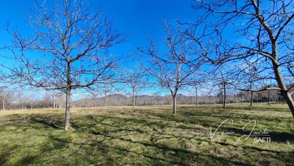 Verger de noyers – 9 002 m²