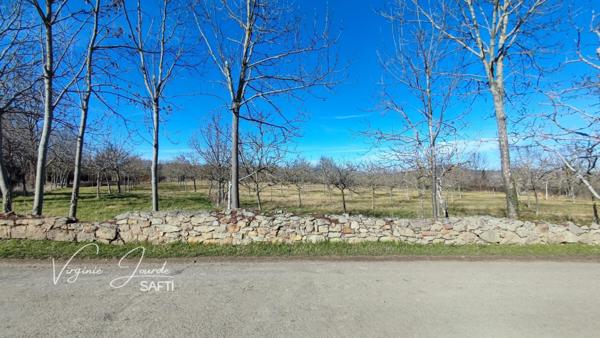 Verger de noyers – 9 002 m²