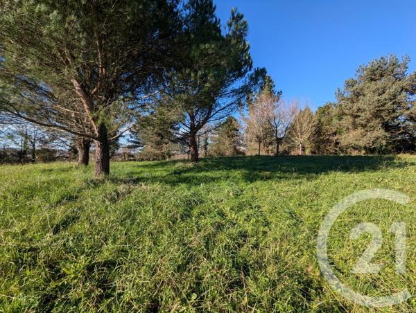 Maison à vendre  6 pièces - 287,27 m2 ORTHEZ - 64