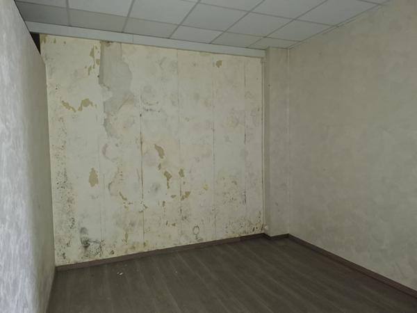POTENTIEL EXCEPTIONNEL : Plateau de 210 m² + Sous-sol de 250 m²