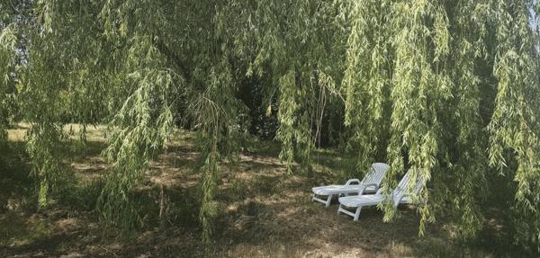 Maison individuelle récente avec garage et magnifique terrain arboré de 2000 m² Durfort lacapelette