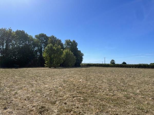 Terrain à vendre 35 000 € Jonzac 3851 m² DPE