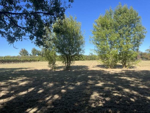Terrain à vendre 35 000 € Jonzac 3851 m² DPE