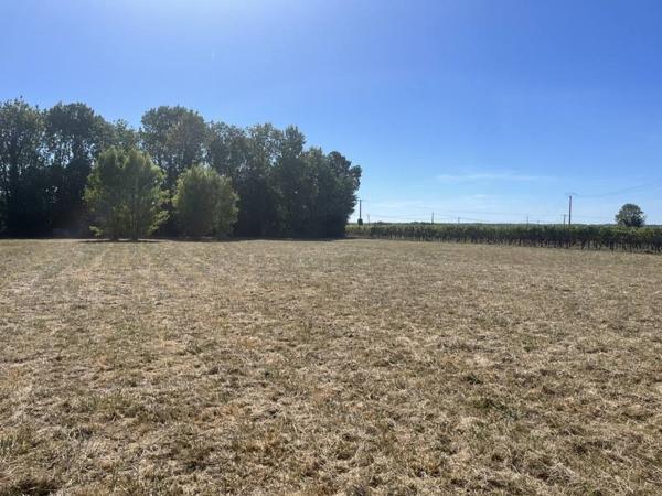 Terrain à vendre 35 000 € Jonzac 3851 m² DPE