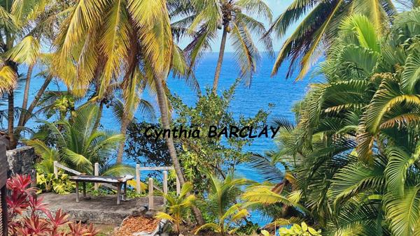 Immeuble à BASSE POINTE (97218)