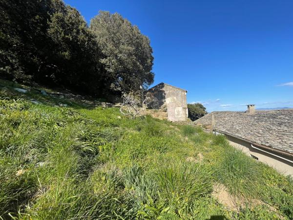 Rogliano (20247) Rare à la Vente : Ensemble Immobilier de Charme – Rogliano